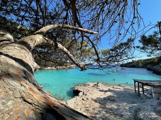 crique paradisiaque 