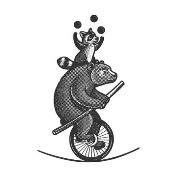 Circus bear with raccoon rides tightrope on a unicycle. The raccoon is juggling. Sketch engraving vector illustration. Scratch board imitation. Black and white hand drawn image.
