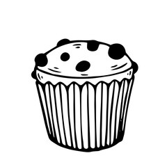 Line sketch muffin with raisins .Vector illustration.