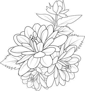 Dhalia flower draing, isolated, hand drawn vector illustration blossom dahlia flower line art, botanical and branch vector illustration floral bud leaf collection, coloring page and book for adult.