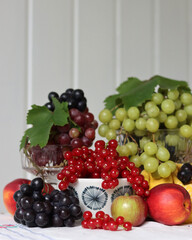Colorful still life with seasonal berries on a table. Red currant, green grapes, nectarines and apples close up photo. Nutrition concept. 