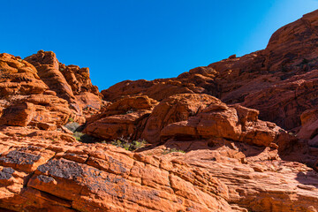Patterns of Erosion Formed in The Aztec Sandstone of the Calico Hills, Red Rock Canyon NCA, Las Vegas, Nevada, USA