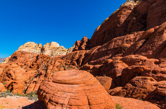 Patterns of Erosion Formed in The Aztec Sandstone of the Calico Hills, Red Rock Canyon NCA, Las Vegas, Nevada, USA