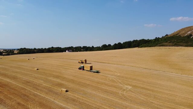 British Agricultural and Harvesting Fields Farms at Sunset Time. High Angle Footage taken with drone's camera on a hot summer day of England. Agricultural Farms and Working Machines at Dunstable Downs