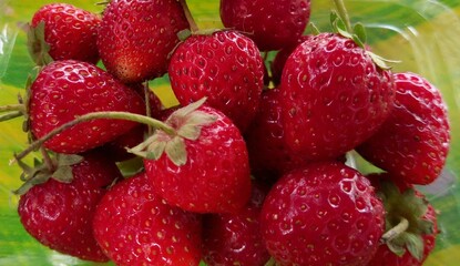 strawberries on a market