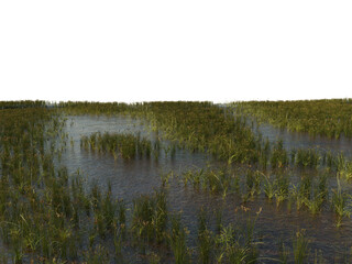 Grass Foreground Floor with Perspective, Transparent Background PNG

