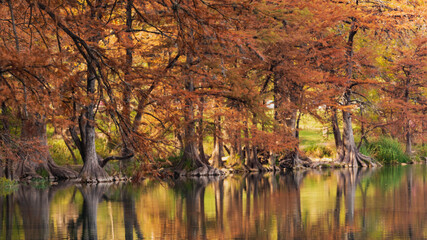 reflections in the water
