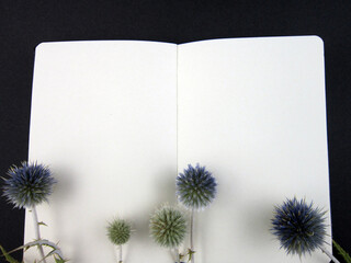        Thorn on an open notebook. Naturalness concept. Blank for mockup, cards, invitations, announcements, copy space.     