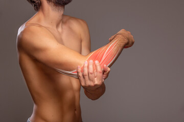 Human arm elbow bone pain, anatomy of human arm	