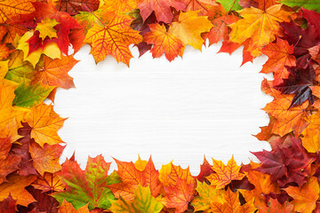 Naklejka na ściany i meble Top table view on multi-colored bright maple leaves on a white wooden background. Bright colored autumn leaves on white textured wooden background. Autumn background with copy space