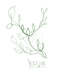 Line drawer artistic dynamic style one line green  tree brunch with leafs  and nature text  design elements 