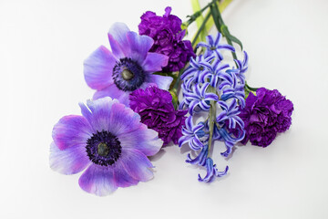 Purple anemones, carnations and hyacinths on a white background