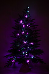 Christmas tree branches with LED purple and blue lights in a dark room