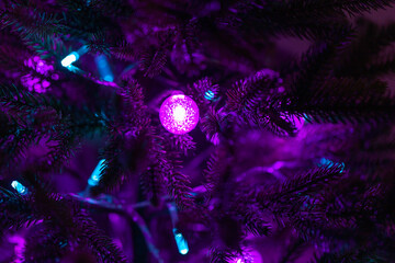 Christmas tree branches with LED lights in the dark close-up