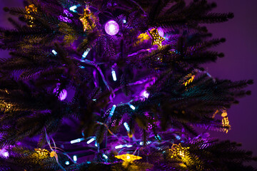 Christmas tree branches with LED purple, yellow and blue lights in the dark - Powered by Adobe