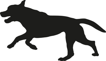 Black dog silhouette. Running and jumping american pit bull terrier puppy. Pet animals. Isolated on a white background.