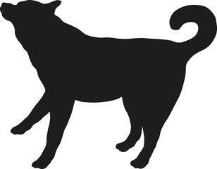 Black dog silhouette. Jumping siberian husky puppy. Pet animals. Isolated on a white background.