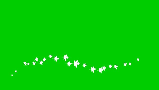 Animated white leaves fly from left to right. Looped video. A wave of flying leaves on green background.