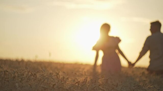 A couple walks through a wheat field at sunset. A man and a woman in love at a romantic stop in nature. High quality 4k footage