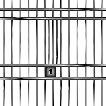 prison bars, prison gate vector