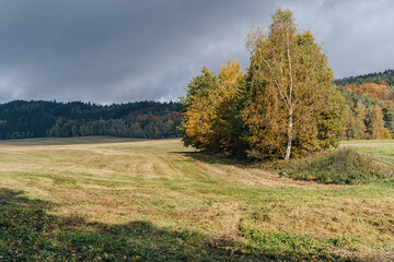 Obraz premium Autumn colorful landscape with green meadow pasture and yellow, orange and red trees. Fall in the countryside. Nature in autumn.
