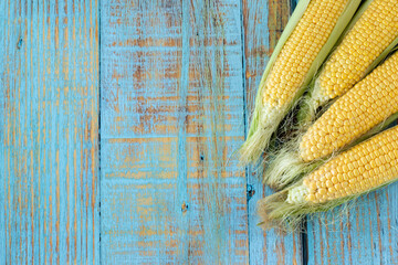 Raw sweet corn on the wooden background with copy space. Top table view. Organic maize cob plant...