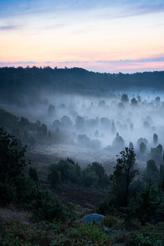 Morgennebel am Totengrund in der L&uuml;neburger Heide