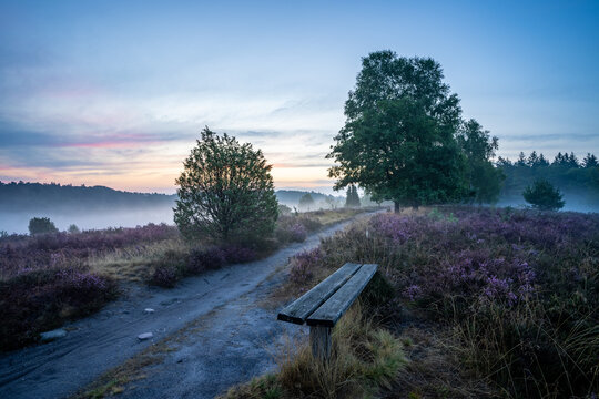 Morgenstimmung mitten in der L&uuml;neburger Heide