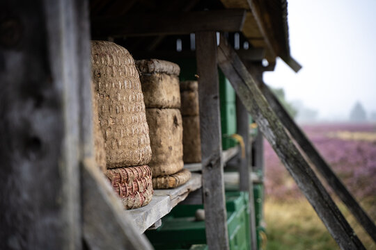 Bienenst&ouml;cke mitten in der L&uuml;neburger Heide