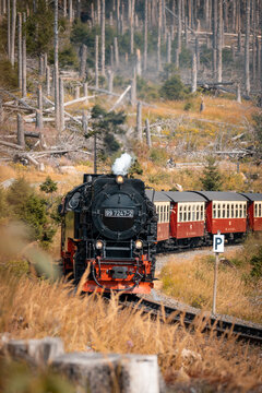 Dampfzug unterwegs am Waldrand