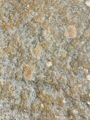 stone wall texture with moss 