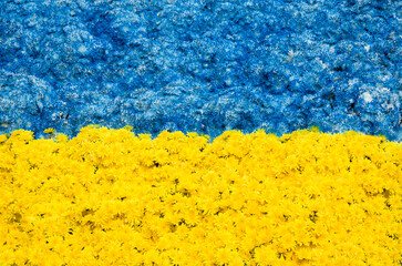National flag of Ukraine maded of many flowers - obrazy, fototapety, plakaty