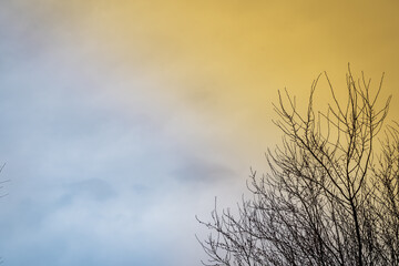 Obraz premium Himmel für Ukraine (Saharastaub)
