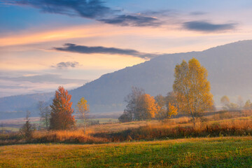 rural fields in autumnal countryside. colorful landscape on a hazy morning