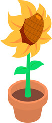 Flat 3d Isometric Sunflower Icon