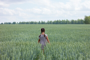 Cute little girl on a green wheat field touches wheat ears by the hand.