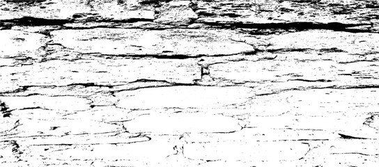 Swirled and curled stripes and brush strokes texture. Marble or acrylic atrwork imitation. Cool and swirly background. Abstract vector illustration. Black isolated on white. EPS10