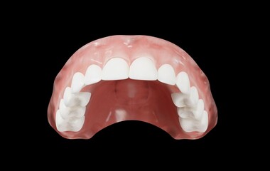 human upper jaw 3d rendering on black background © Hanna Li