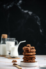 chocolate oatmeal cookies, oatmeal chocolate cat cookies, milk and cookies, delicious breakfast for kids, healthy food, light snack 