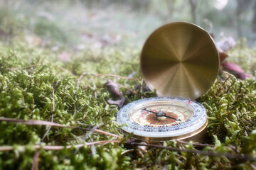 Kompass - Moos - Bioeconomy - Compass in the Moss