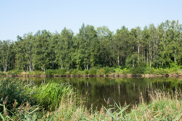 View of the lake against the background of a green dense forest in the early morning. There is green grass and sunlight all around.