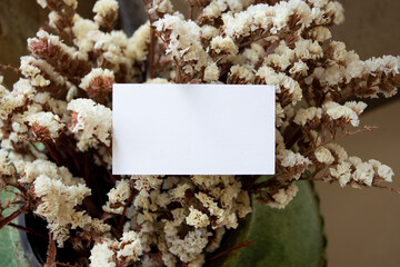 Flat business card on dried white flowers for web background design. White isolated background. Abstract landscape background. Happy holiday. Web banner template. Natural beauty.