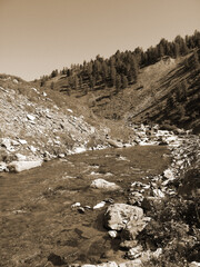 Vintage misty landscape with hills and rocks  in sepia tones.