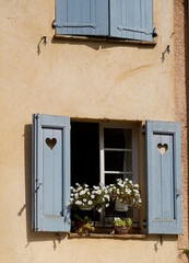 Window with shutters and plat pots 