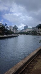 Fototapeta premium Walking along the sidewalk next to the Ala Wai canal Hawaii