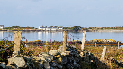 fishing nets in the harbor