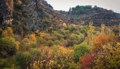 paisajes de bosque otoñal y cascadas