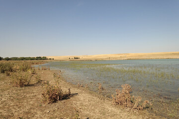 Fototapeta na wymiar The irrigation dam of a village has lost a lot of water as a result of drought, the pond whose water has decreased, the tragic situation of the drought and irrigation pond,