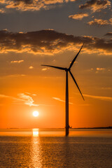 Wind turbine in the sea in summer sunset