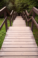 Wooden staircase on path in national park